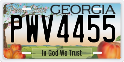 GA license plate PWV4455