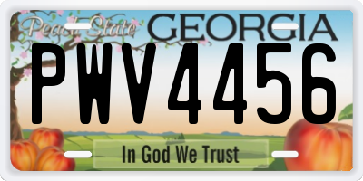 GA license plate PWV4456