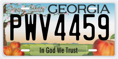GA license plate PWV4459