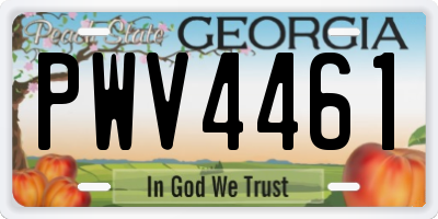 GA license plate PWV4461