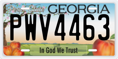 GA license plate PWV4463