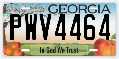 GA license plate PWV4464