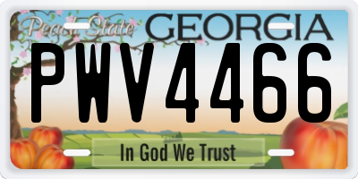 GA license plate PWV4466