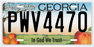 GA license plate PWV4470