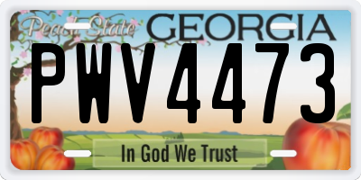 GA license plate PWV4473