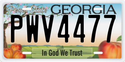 GA license plate PWV4477