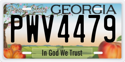 GA license plate PWV4479