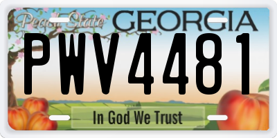 GA license plate PWV4481