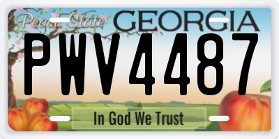 GA license plate PWV4487