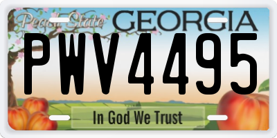 GA license plate PWV4495