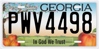 GA license plate PWV4498