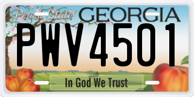 GA license plate PWV4501