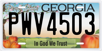GA license plate PWV4503
