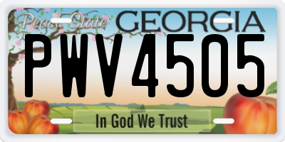 GA license plate PWV4505