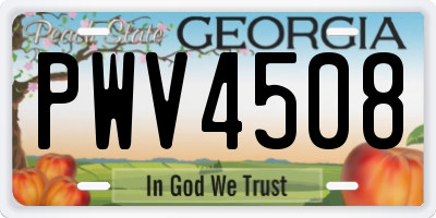 GA license plate PWV4508