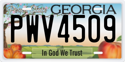 GA license plate PWV4509