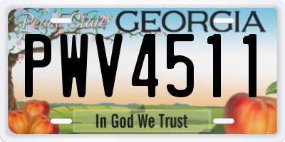 GA license plate PWV4511