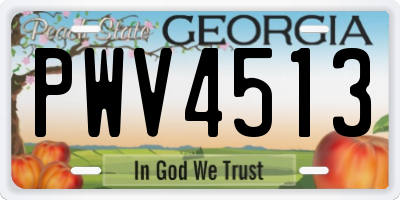 GA license plate PWV4513