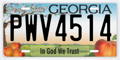 GA license plate PWV4514