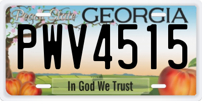 GA license plate PWV4515