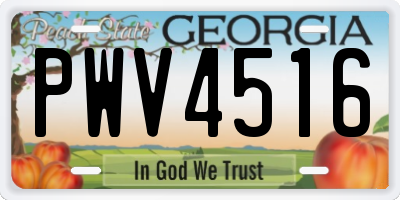 GA license plate PWV4516