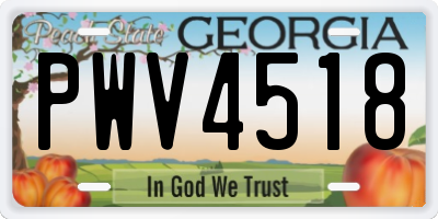 GA license plate PWV4518