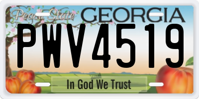 GA license plate PWV4519