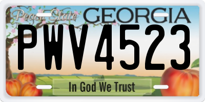 GA license plate PWV4523