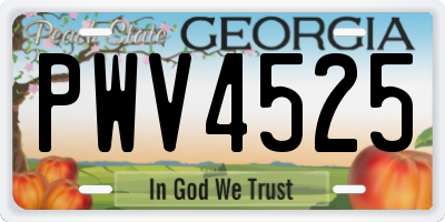 GA license plate PWV4525
