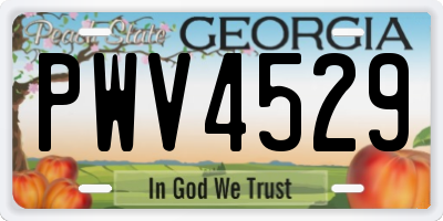 GA license plate PWV4529