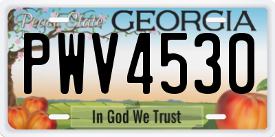 GA license plate PWV4530