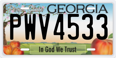 GA license plate PWV4533