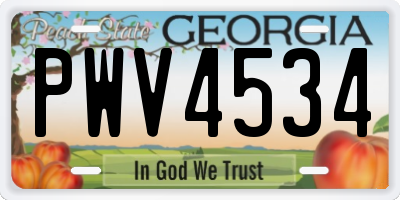 GA license plate PWV4534