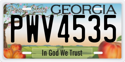 GA license plate PWV4535