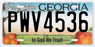 GA license plate PWV4536