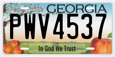 GA license plate PWV4537
