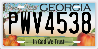 GA license plate PWV4538