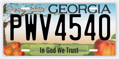 GA license plate PWV4540