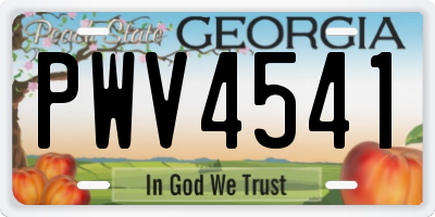 GA license plate PWV4541