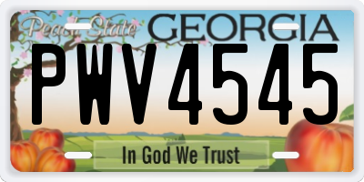 GA license plate PWV4545