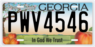 GA license plate PWV4546