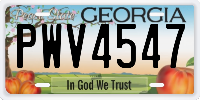 GA license plate PWV4547