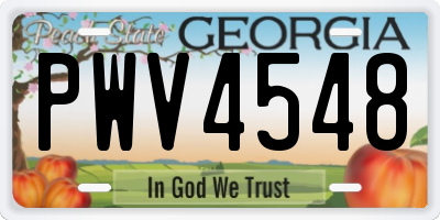 GA license plate PWV4548