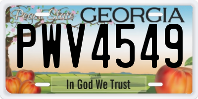 GA license plate PWV4549