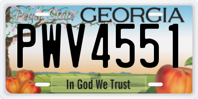 GA license plate PWV4551