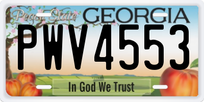 GA license plate PWV4553