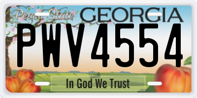 GA license plate PWV4554