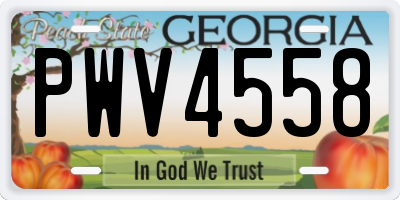 GA license plate PWV4558