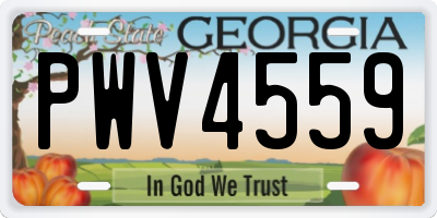 GA license plate PWV4559