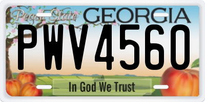 GA license plate PWV4560